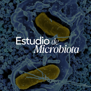 Estudio de Microbiota
