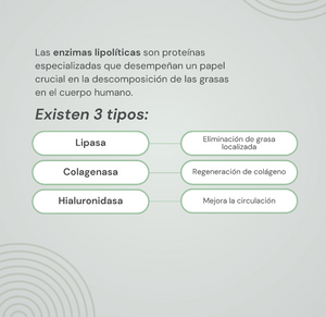 Enzimas lipolíticas