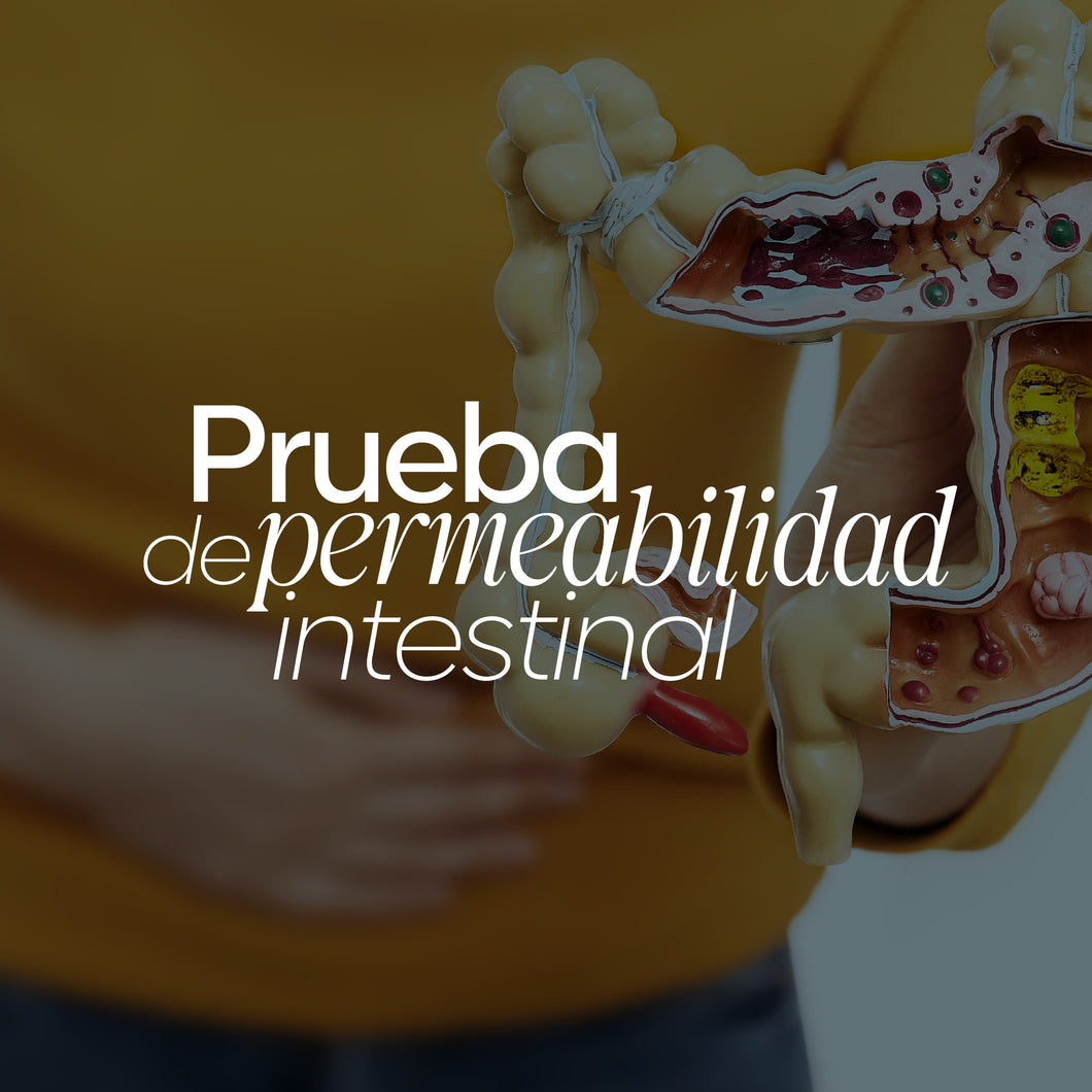 Prueba de Permeabilidad Intestinal - Zonulina